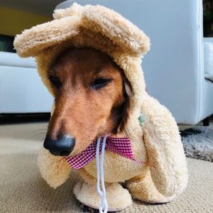 Meet your Posher, Dave